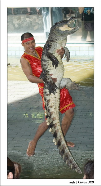 2006 - 08 - Pattaya - Crocodile farm 13